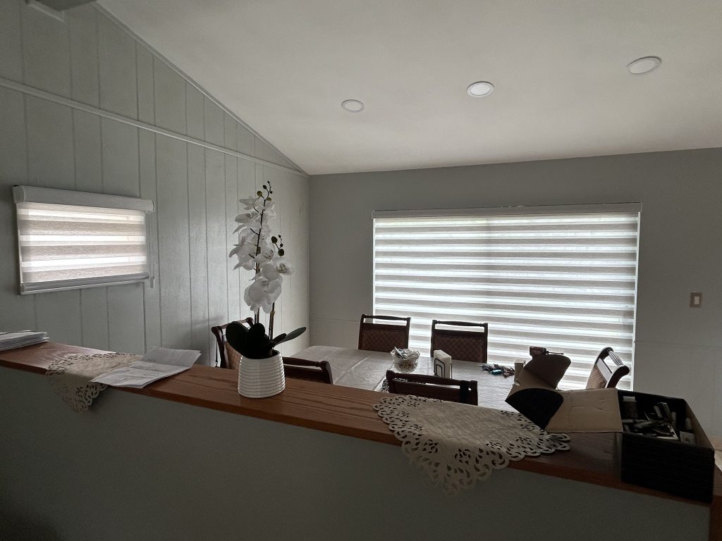 commercial building zebra shade