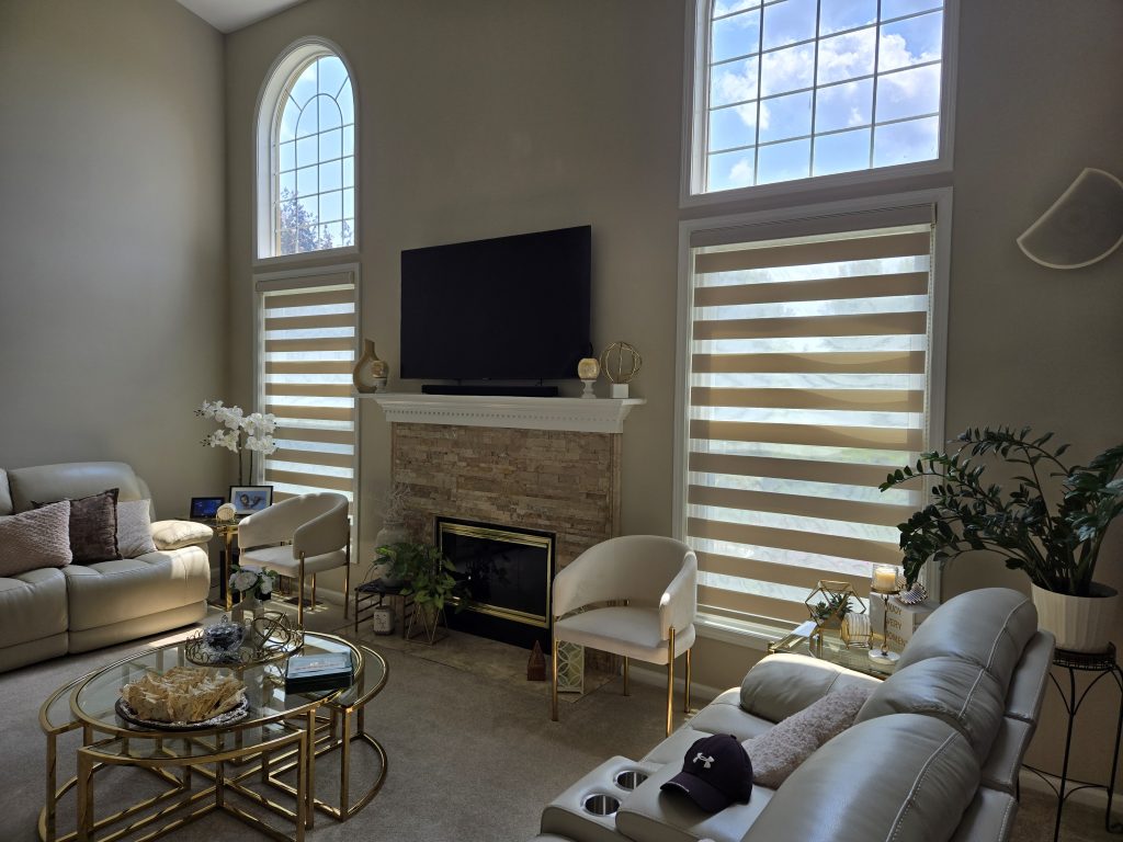 zebra shade in family room