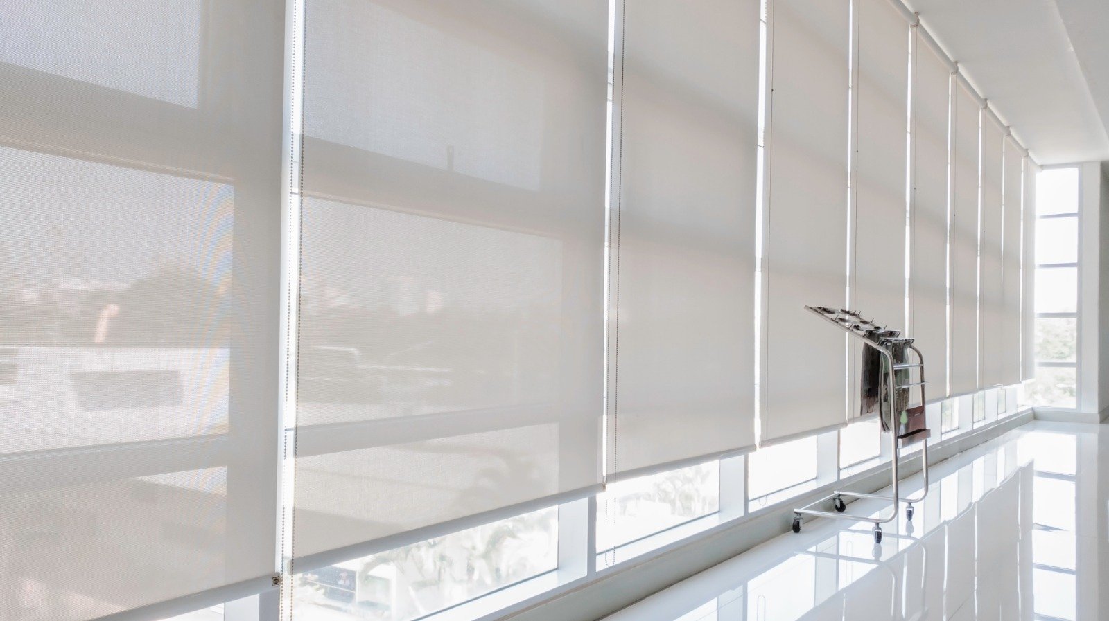 Roller Shades